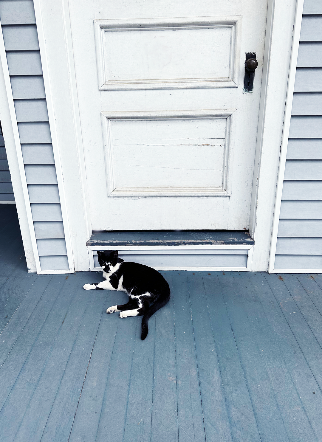 KITTY CAT DOORKEEPER