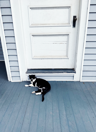 KITTY CAT DOORKEEPER