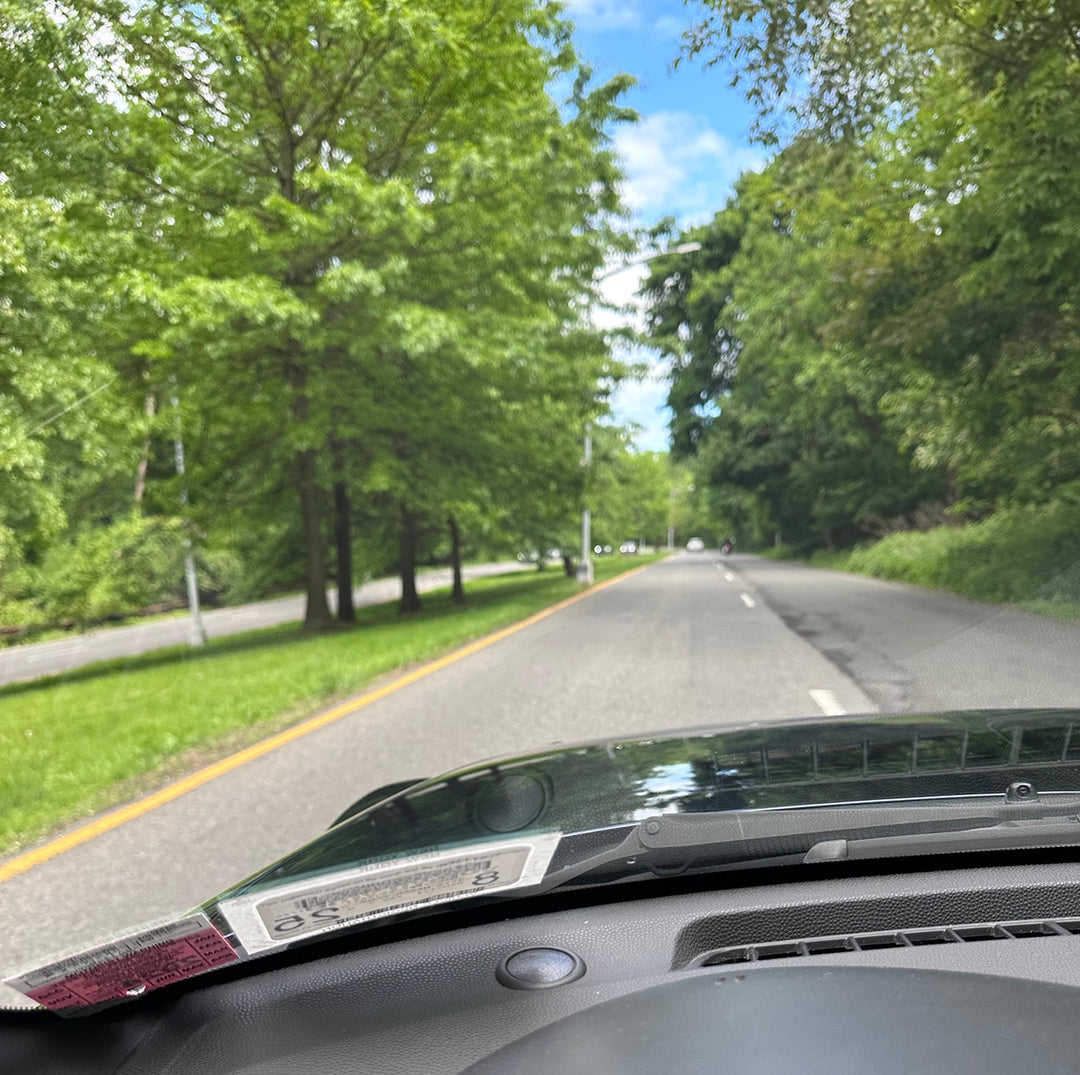 DRIVING DOWN MY FAVORITE ROAD