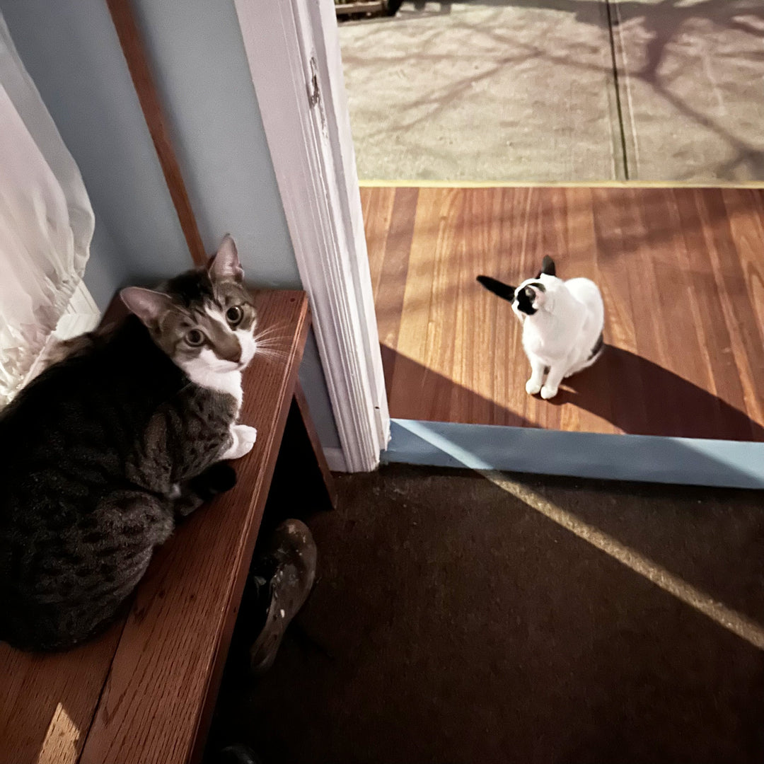 New Year's Neighborhood Greeters!