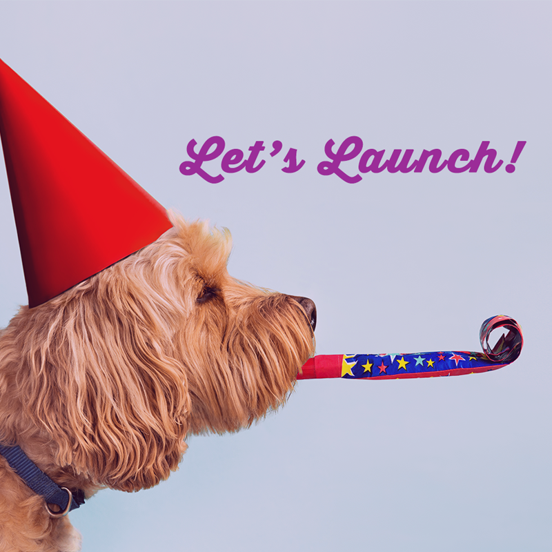 THINKING OF LAUNCHING IN SUMMER?