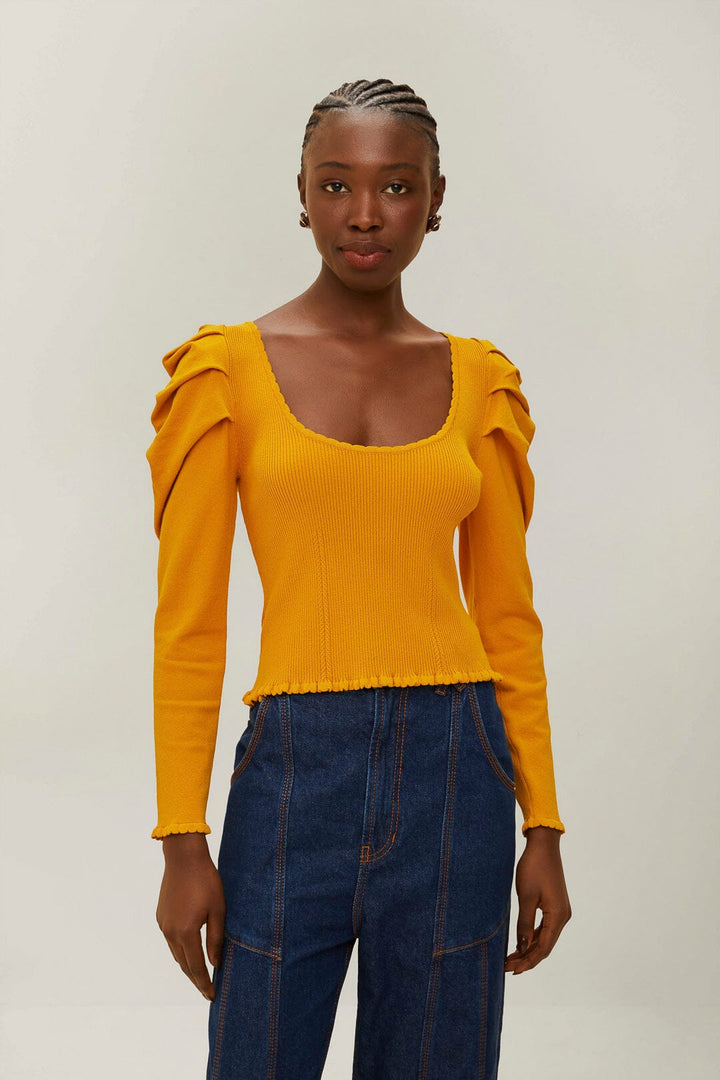 Pleated Sleeve Top