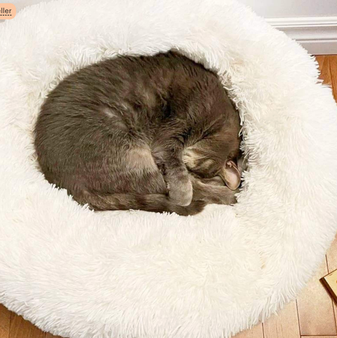 Plush Calming Cat Bed
