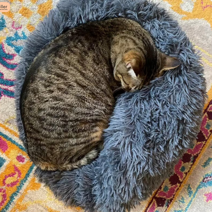 Plush Calming Cat Bed