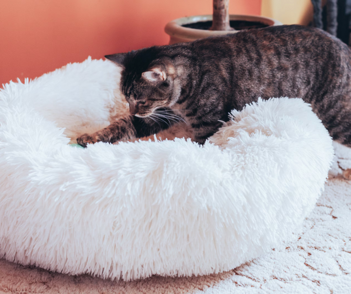 Plush Calming Cat Bed