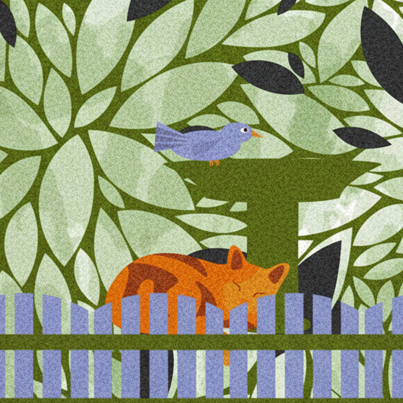 Custom Pet Rugs