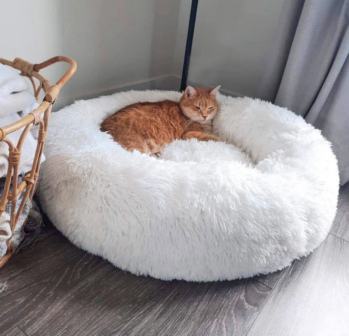 Plush Calming Cat Bed