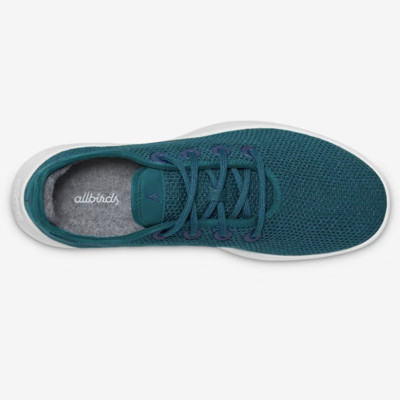 Allbirds Tree Runners