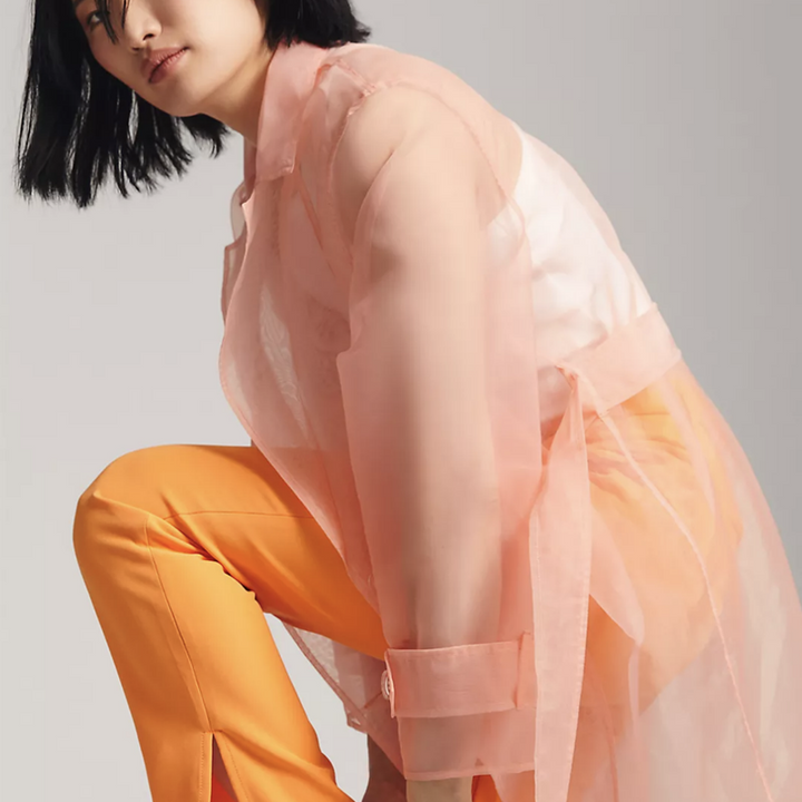 Sheer Trench Coat