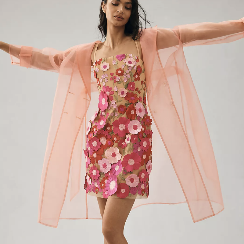 Sheer Trench Coat – Colormaiden