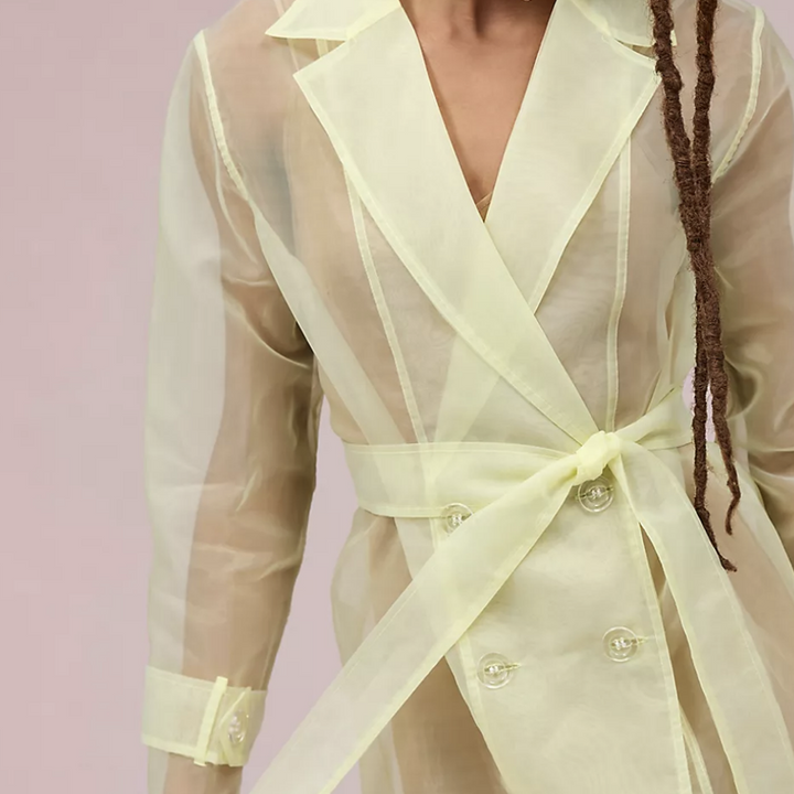 Sheer Trench Coat