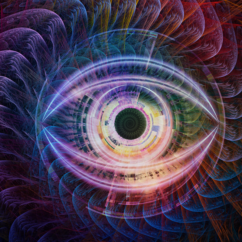 The Visionary